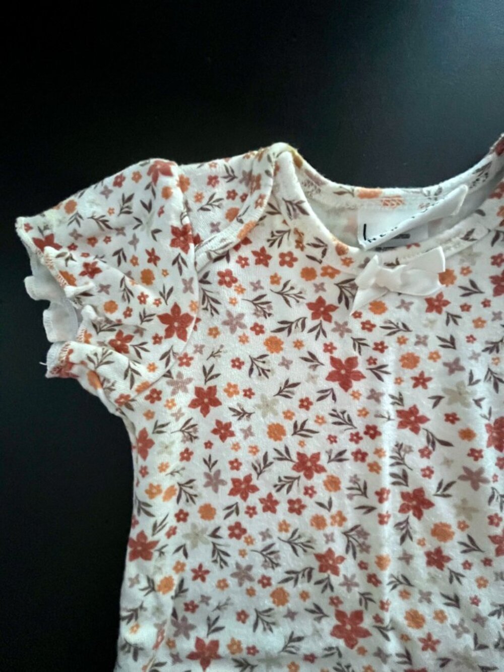 Baby Girl Pumpkin Onesies, Fall LOT, Set of 4, 3-6 Months - Picture 7 of 10